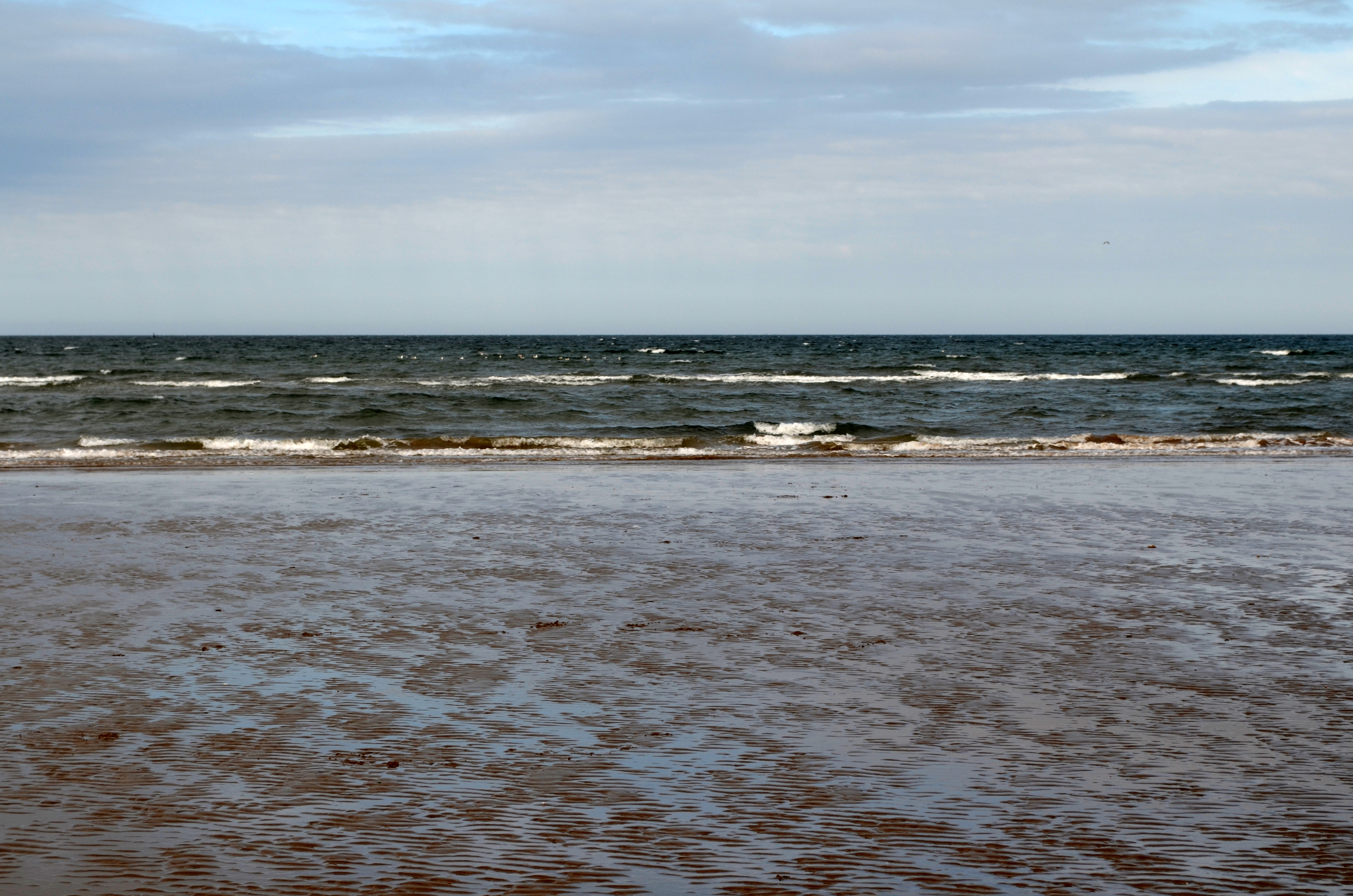 DSC_0037